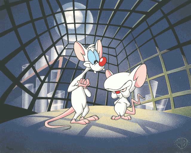 pinky and brain. I#39;ll be Pinky to your Brain.”